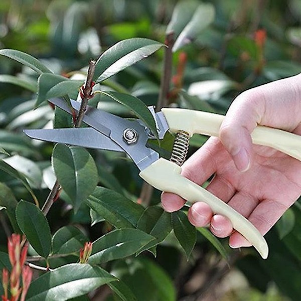 Ultralette Have- og Beskæringssakse - Glat, Rent Snits, Professionelle Håndbeskærere til Levende Blomster, Planter, Let Grene