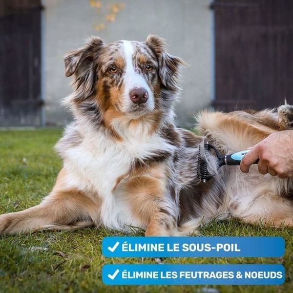 Underuldskam til hunde og katte, selvrensende strigle med mikroklinger