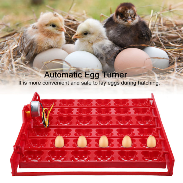 36 egg/144 fugleegg Inkubatorklekker Automatisk eggdreieverktøy (220V motor)
