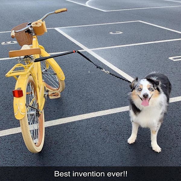 Håndfri hundecykelsnor, nyeste model, god ydeevne