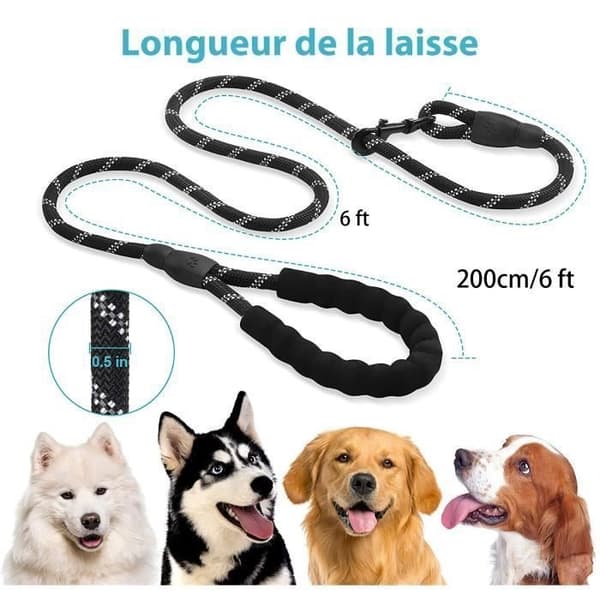 Hundkoppel - 2m rep - Vadderat handtag - Reflekterande - Svart