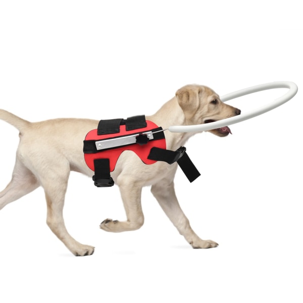 MYFZ02 Blind Pet AntiCollision Ring Dyresikker førerhund Beskyttelsessele Vest Ring