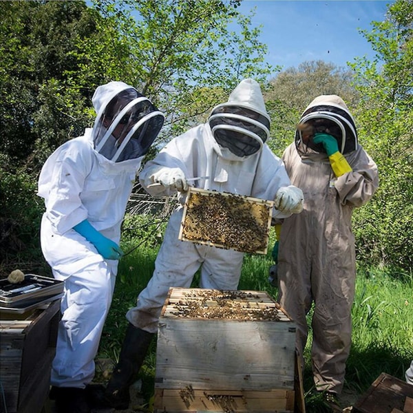 Ammattimainen mehiläishoitopuku, jossa pitkät hanskat ja huppu mehiläishoitajille - XL