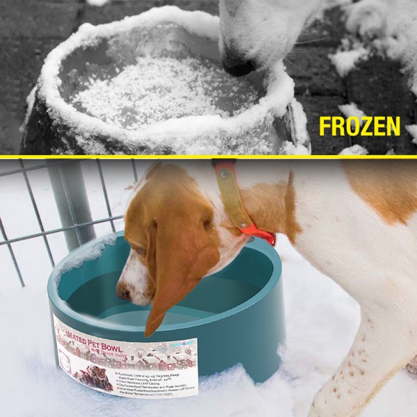 Koiran lämmitetty kulho Automaattinen vakiolämpöinen lämmönsuoja Lemmikkien thermal vedenpitävällä kytkimellä EU-pistoke 220-230V EU EU