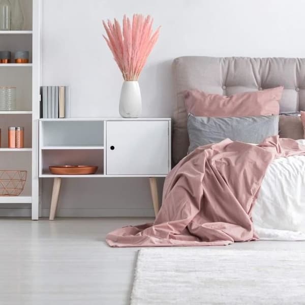 Tørrede blomster Pampasgræs - 15 stk. - 40-45 cm - Naturlig og elegant