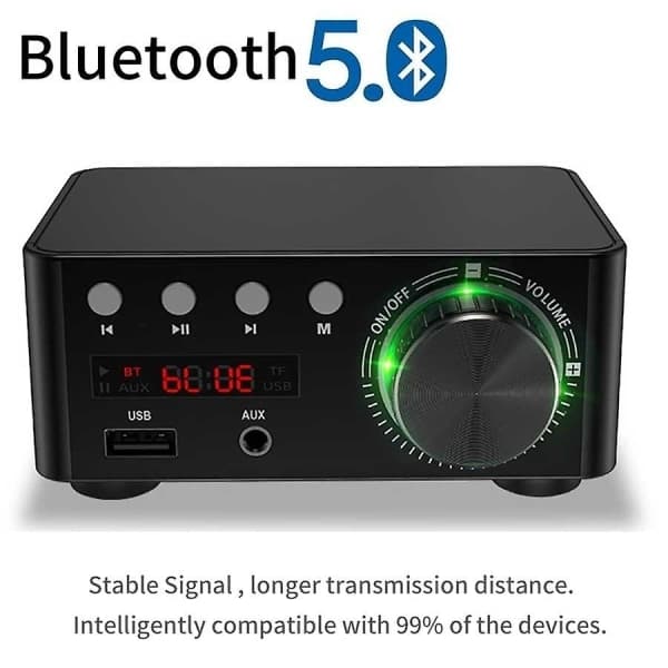 100W HiFi Förstärkare Klass A Bluetooth 5.0 Liten Digital Effektförstärkare Stöder U Disk SD-kort RCA Ljudingång