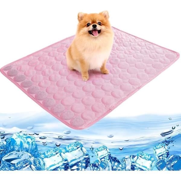 Kølemåtte - 70x55cm - Ikke-giftig gel - Ridsefast - Til katte