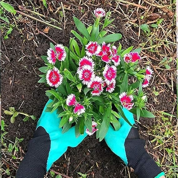 Trädgårdshandskar med klor för plantering, trädgårdshandskar med klor för kvinnor