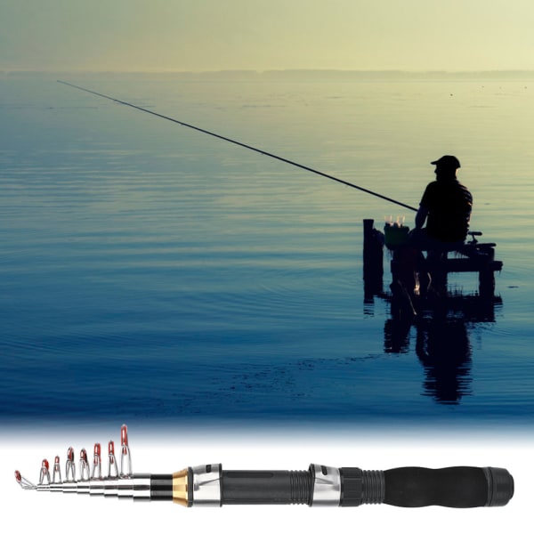Liten havsstång portabel kort stång isfiskespö Mini havsfiskeredskap 28049-100 (1,9M)