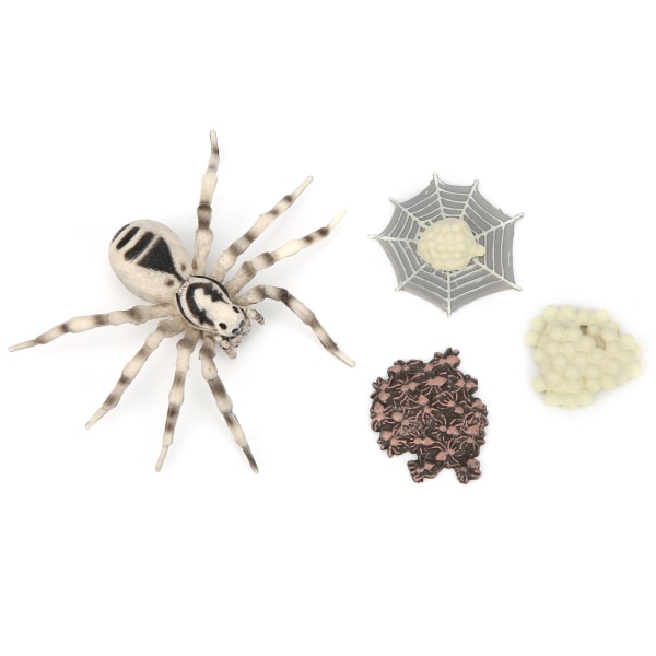 Erittäin simuloitu hyönteismalli lelu, opettava lasten lapsi hyönteismalli lelu lahjahyönteismalli