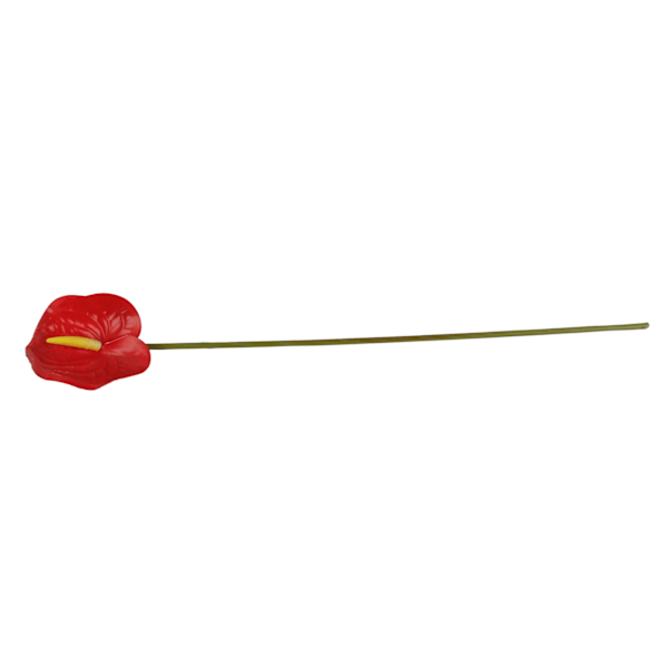 Simulering 3D Anthurium Blomst Stue Hjem Layout Simulering Blomsterbuket Flamingo Anthurium