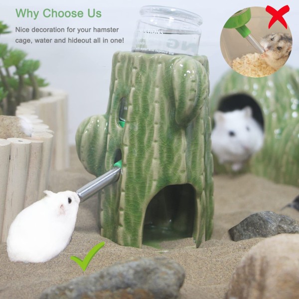1 grøn 2 i 1 kaktusvandflaske hamstervander lodret