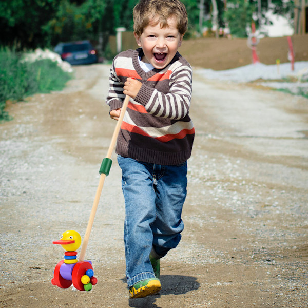 Træ Baby Walker Træ Skub og Træk Gå Legetøj Kid Lær At Gå Waddling Dyr Skub Langs Legetøj