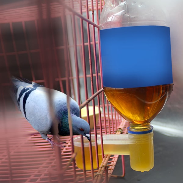 10 STK Praktisk vanndrikkekopp i plastmater drikkeskål for fugler, duer, papegøyer