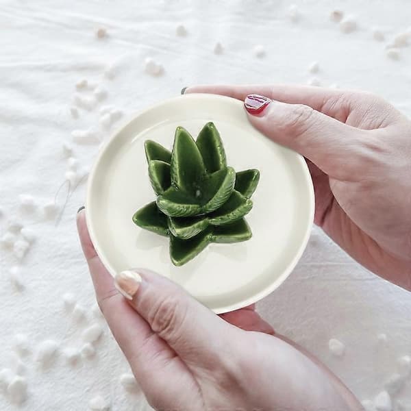 Aloe Ring Holder Jewelry Tray Ceramic Cactus Ring Dish