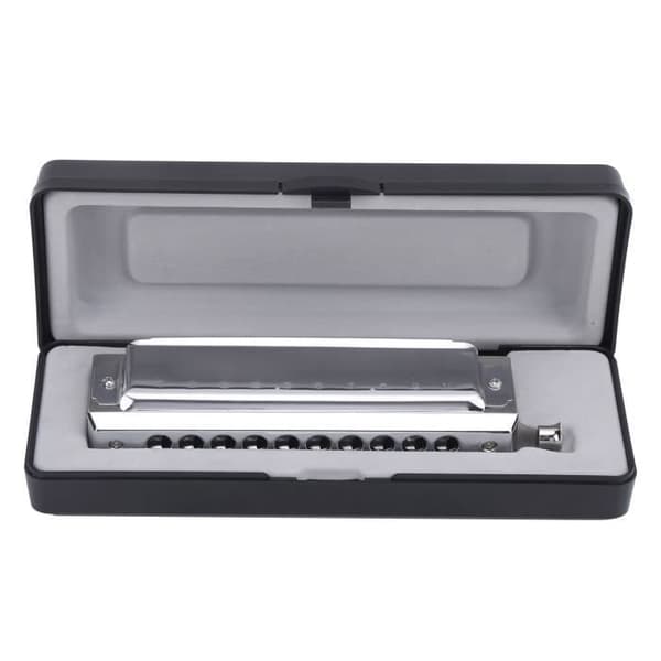 Kromatisk munspel - SURENHAP - 10 hål - 40 toner - ABS + metall - Avancerad