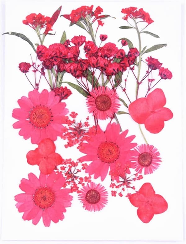 Materialpose med tørkede blomster, preget DIY, mobildeksel, fotorammedekorasjon