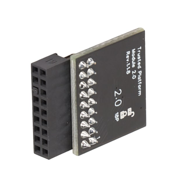 TPM 2.0 Krypteringssäkerhetsmodul 18Pin LPC Gränssnitt Krypteringssäkerhetsmodul för Asrock 18pin SPI TPM2.0