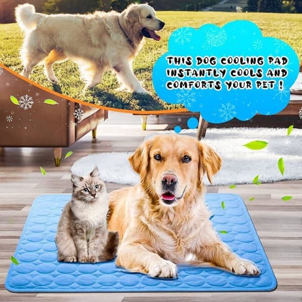 Genanvendelig kølemåtte til hunde 70x55 cm, selvafkølende sommer-kæledyrsmåtte, blå