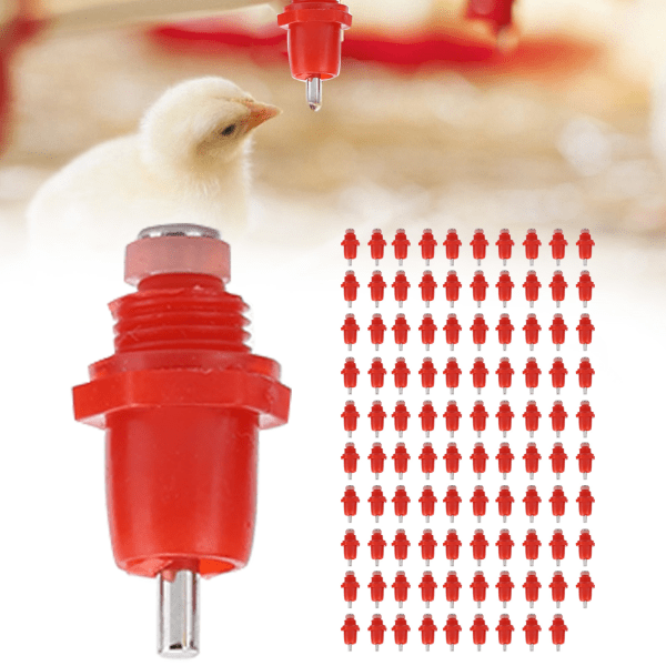 100st Fjäderfä Skruv Stil Nippel Waterer Kyckling Automatisk vattenmatare Drinker Stort huvud