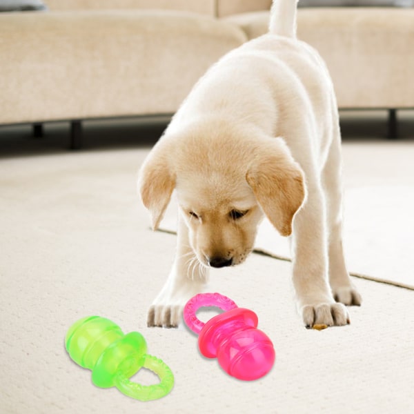 2st Husdjursvalp Molar rena tänder Leksak Napp Tugga Lek Träningsleksaker för hundkatt