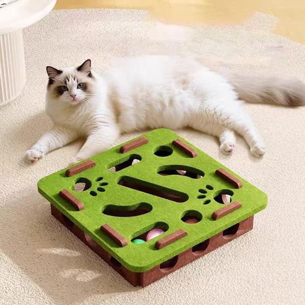 Cat Activity Toy - Interactive Cat Toy with Labyrinth and Scratching Surface Camel