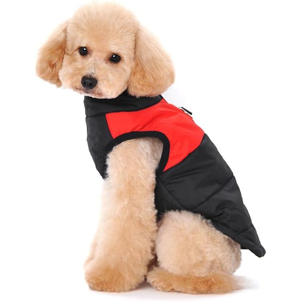 Vintervarm hundeklær, liten vanntett hund jakke med avtakbar hette, vinterpolstret pute hundeklær red and black 4XL