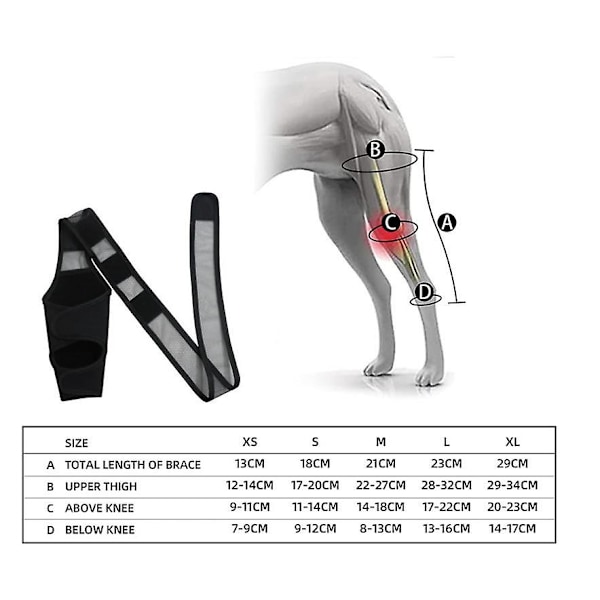 Hundeknæstøtte, hundebenstøtte, hofteledsstøtte for korsbåndsskader, CCL, patellaluksasjon eller artrose - Perfekt L