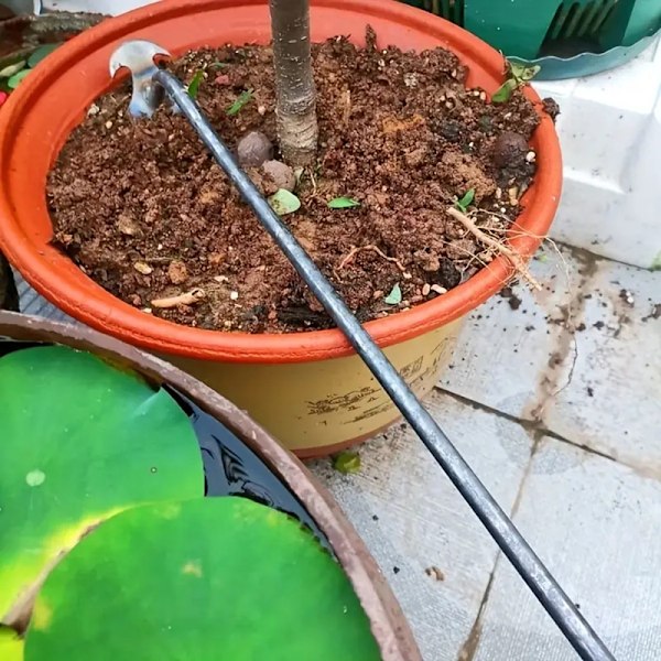 Multifunktionelt Manuelt Lugeredskab | Haveplantningsværktøj | Sort long Black