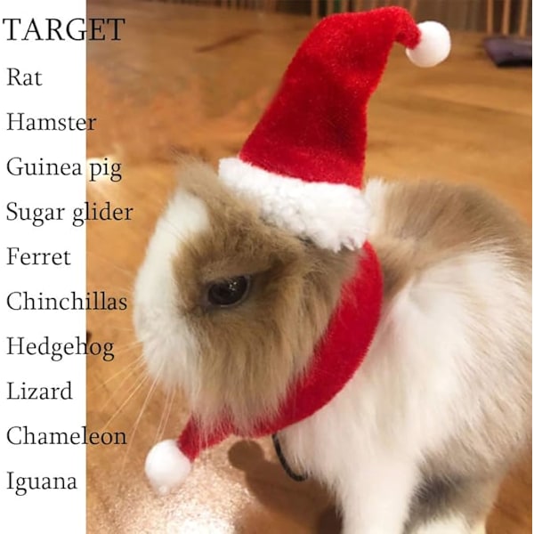 Smådyr Nissehue med skjerf Jul marsvin kostyme Halloween rottehatt Kaninklær Sett Julegaveklær for Sugar Glider Hamster Ch