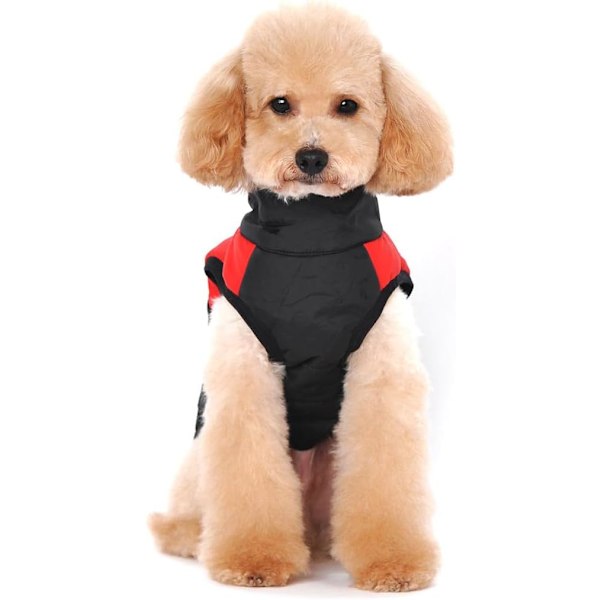 Vintervarm hundeklær, liten vanntett hund jakke med avtakbar hette, vinterpolstret pute hundeklær red and black 4XL