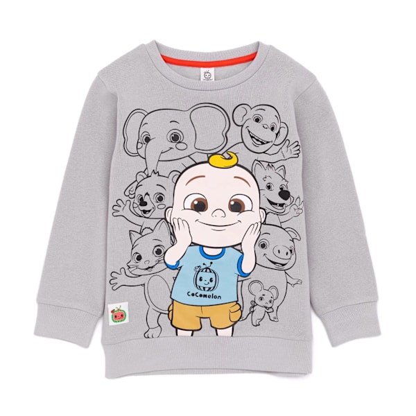 Cocomelon Børnetøj/Børn Gruppebillede Sweatshirt 5-6 År Grå Grey Grey 5-6 Years