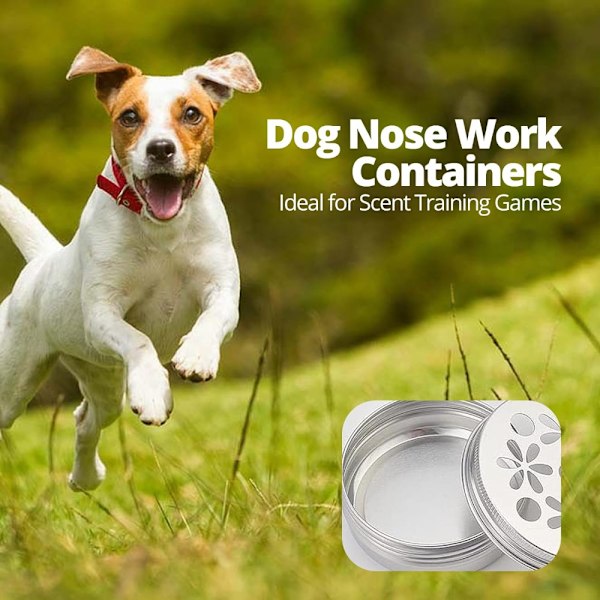 3 ST Hundedufttræningssæt Nosework-beholdere Metalbeholdere