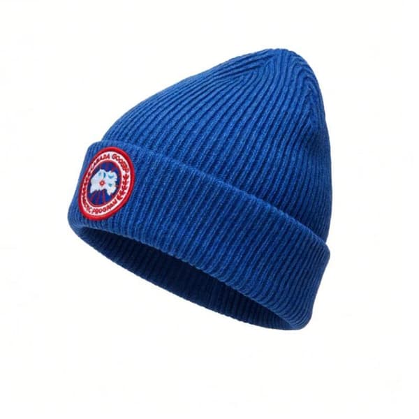 Mode Broderad Beanie Hatt Män och Kvinnor Mångsidig Varm Höst och Vinter Trendig Hatt - Blå blue