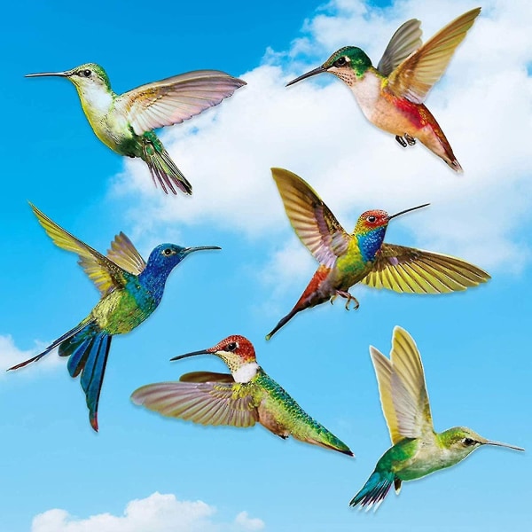 Anti-kollisionsvinduesmærkat 6 stykker Hummingbird vinduesmærkat Fugle vinduesklistermærker