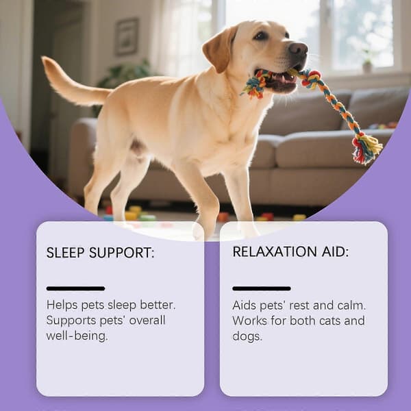 Hunde søvnpleje, naturlig melatonin formel, rolig og afslappende søvn til kæledyr, 60 ml