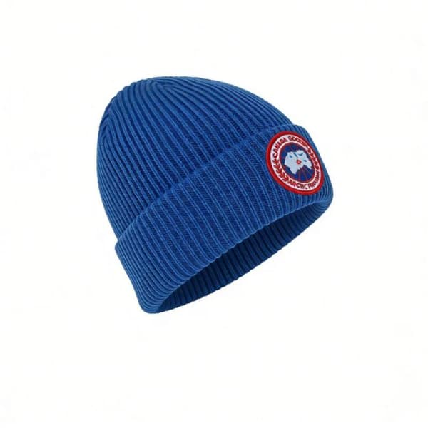Mode Broderad Beanie Hatt Män och Kvinnor Mångsidig Varm Höst och Vinter Trendig Hatt - Blå blue