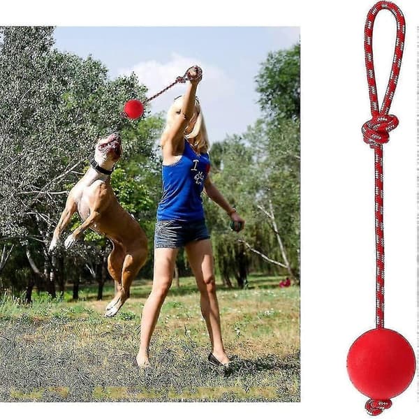Repboll Hundleksak, 3 Delar Katt Tuggleksaker, Gummiboll Rep Hundleksaker