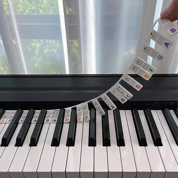 Avtagbara pianoklaviaturnotetiketter Återanvändbara silikon 88 tangenter Pianonoter Guidedekaler-HYJ Colorful