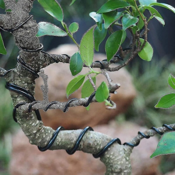 3 pakkauksen Bonsai Wire Bonsai Tree Harjoituslangat Anodisoitu Alumiinin Askartelu Johdot Siteet askartelujen tekemiseen, koko 1,0 mm / 1,5 mm / 2,0 mm ruskea, musta