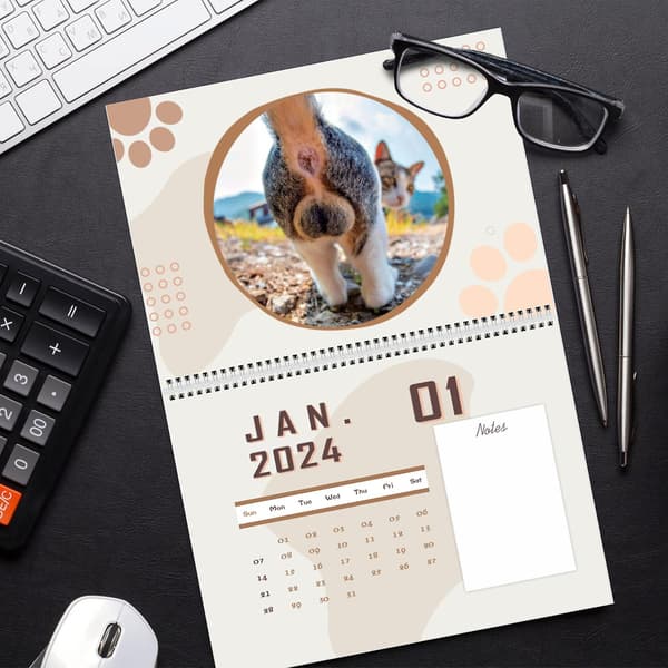 Skrivebordskalender Katte Numser 2024 Til Katteelskere - Sjov Kattekalender White One Size