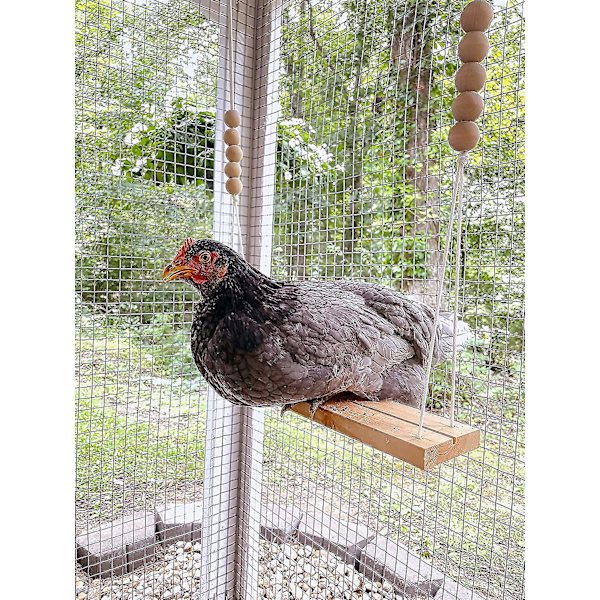 Chicken Swing Toy For Coop Natural Safe Puiset tarvikkeet . Suuret kestävät ahventikkaat siipikarjalle juoksevat kukkot kanat poikaset Lemmikkipapuukaijat ara Entertai
