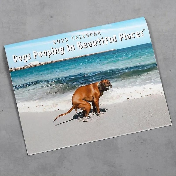 Koiran kakkakalenteri Hauska kalenteri uudenvuoden kalenteri 2023 kalenteri Hauska lahja ystäville