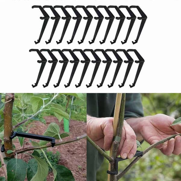 Frukttre Gren Spreder for Sterke Spredevinkler Grener 20PCS