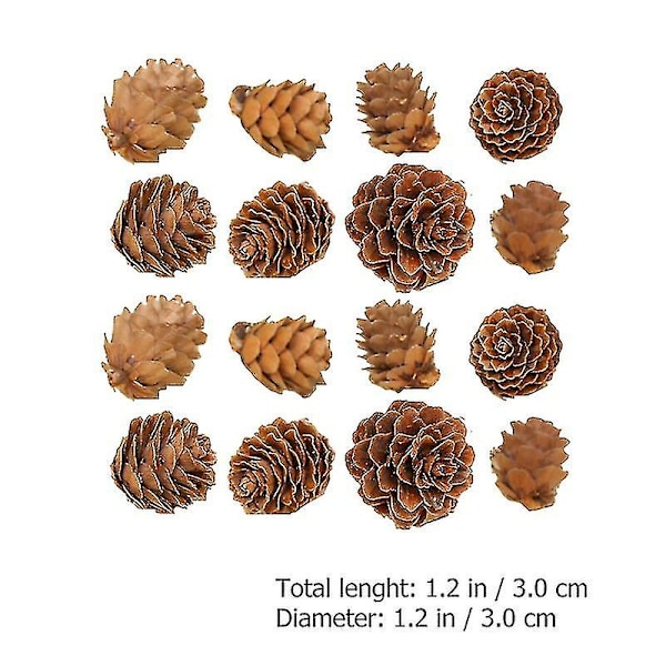 100 kpl Mini-käpyjä