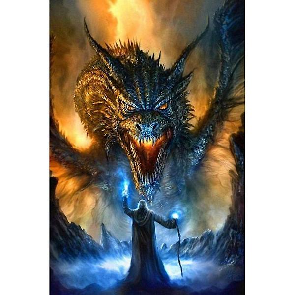 Dww-30x40 Cm 5d Diamantmålning Gör-Det-Själv Komplett, Den Flygande Drakens Trollkarl Gör-Det-Själv Diamant Strass Canvas Korsstygn Målning Efter Nummer För Väggdekoration