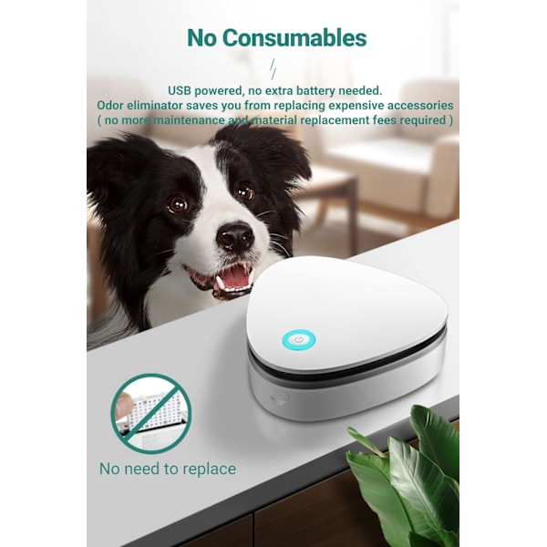 Kæledyrs lugtfjerner, Smart Kat Deodorizer, Auto On/Off