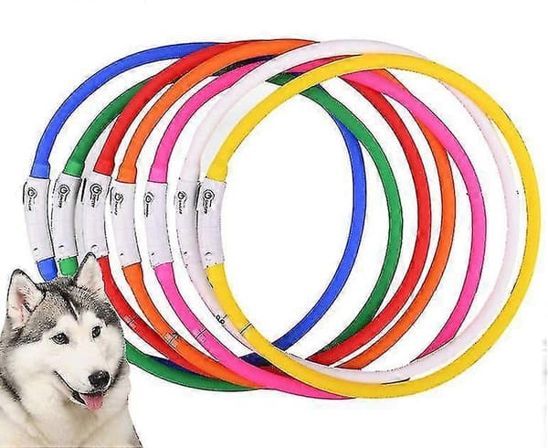 USB lysende kæledyrshalsbånd anti-tabt lysende hundehalsbånd Blå
