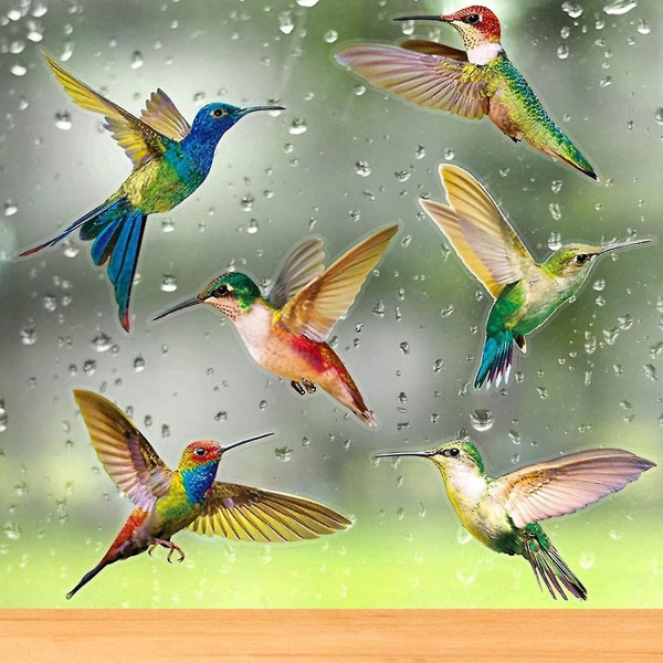 Anti-kollisjon vindusklistremerke 6 deler Hummingbird vindusklistremerke Fugler vindusklistremerker
