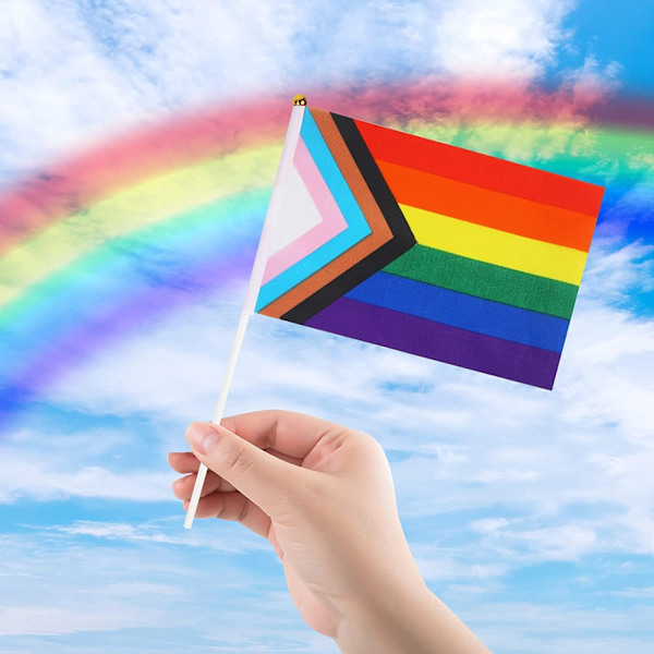 20 st Pride-flaggor i regnbågsfärger, små mini-flaggor att hålla i handen på pinnar